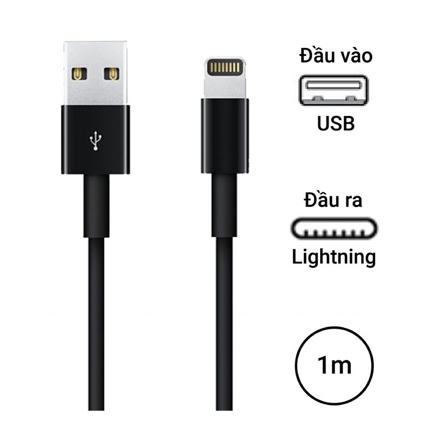 Cáp Sạc USB-C To Lightning Cho iPhone/ iPad Apple (Hàng Chính Hãng) | Chất  lượng, An toàn