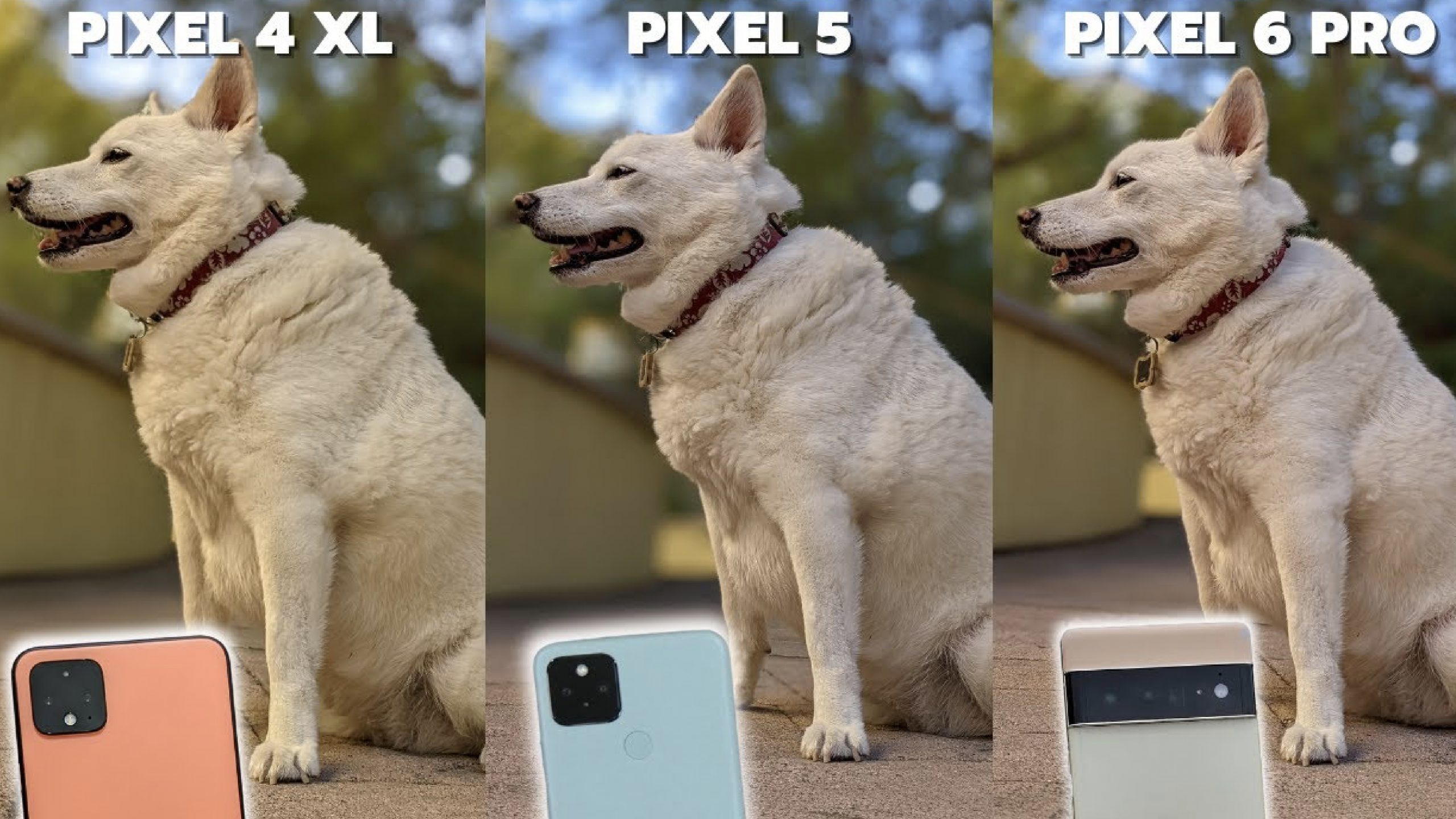 Google Pixel 6 Pro hiệu năng khủng, camera xịn